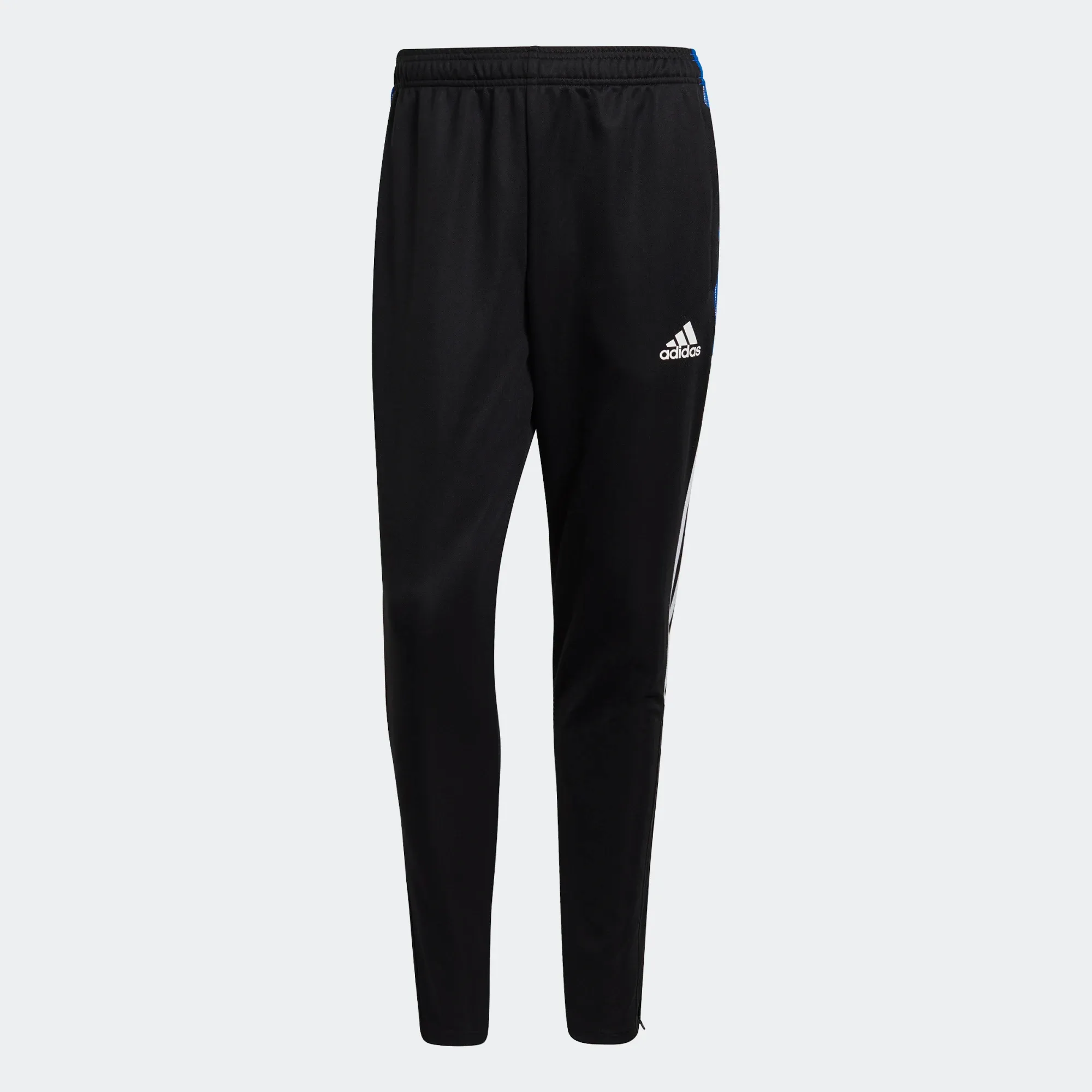 Adidas Men's Tiro 21 Track Pants - Black / Royal Blue