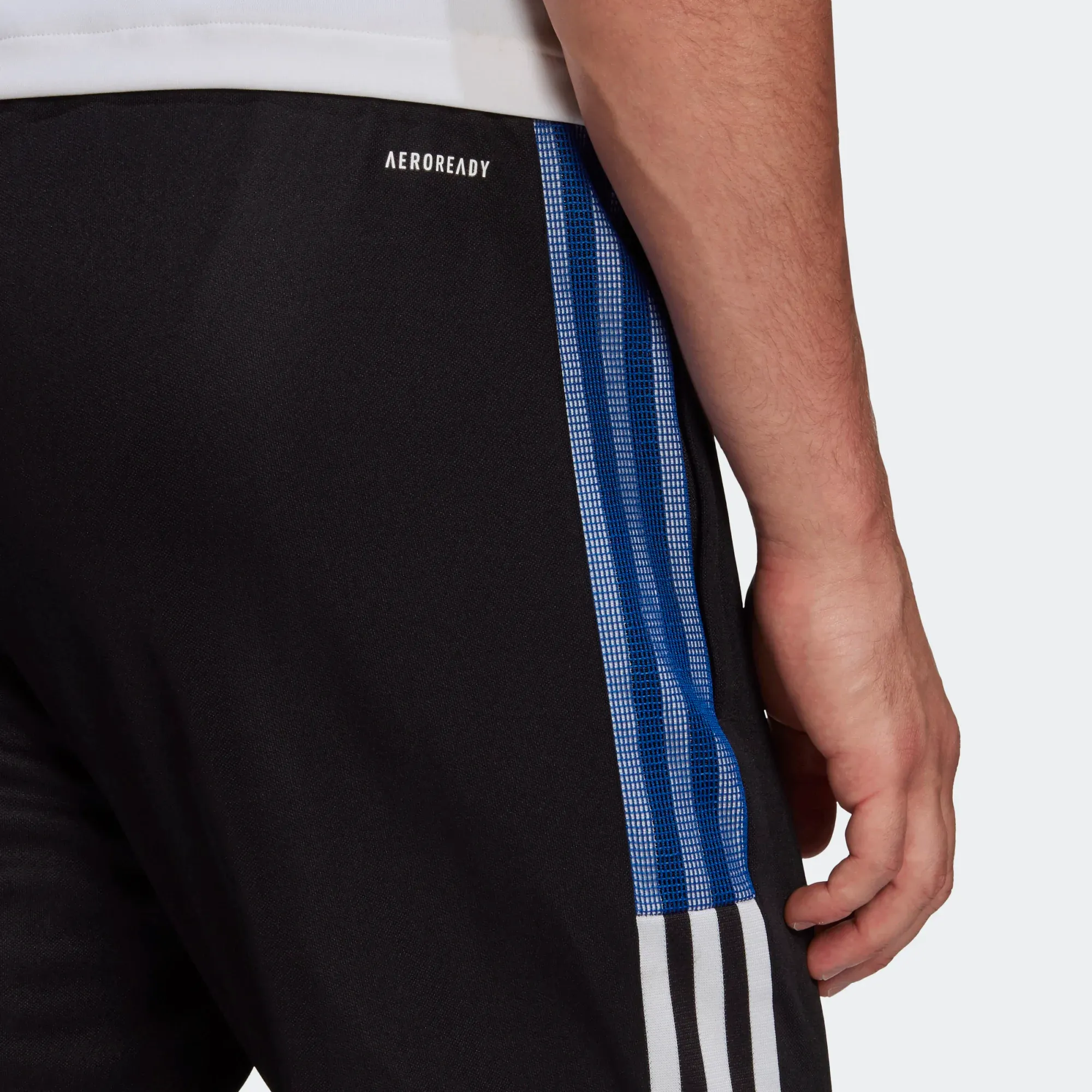 Adidas Men's Tiro 21 Track Pants - Black / Royal Blue