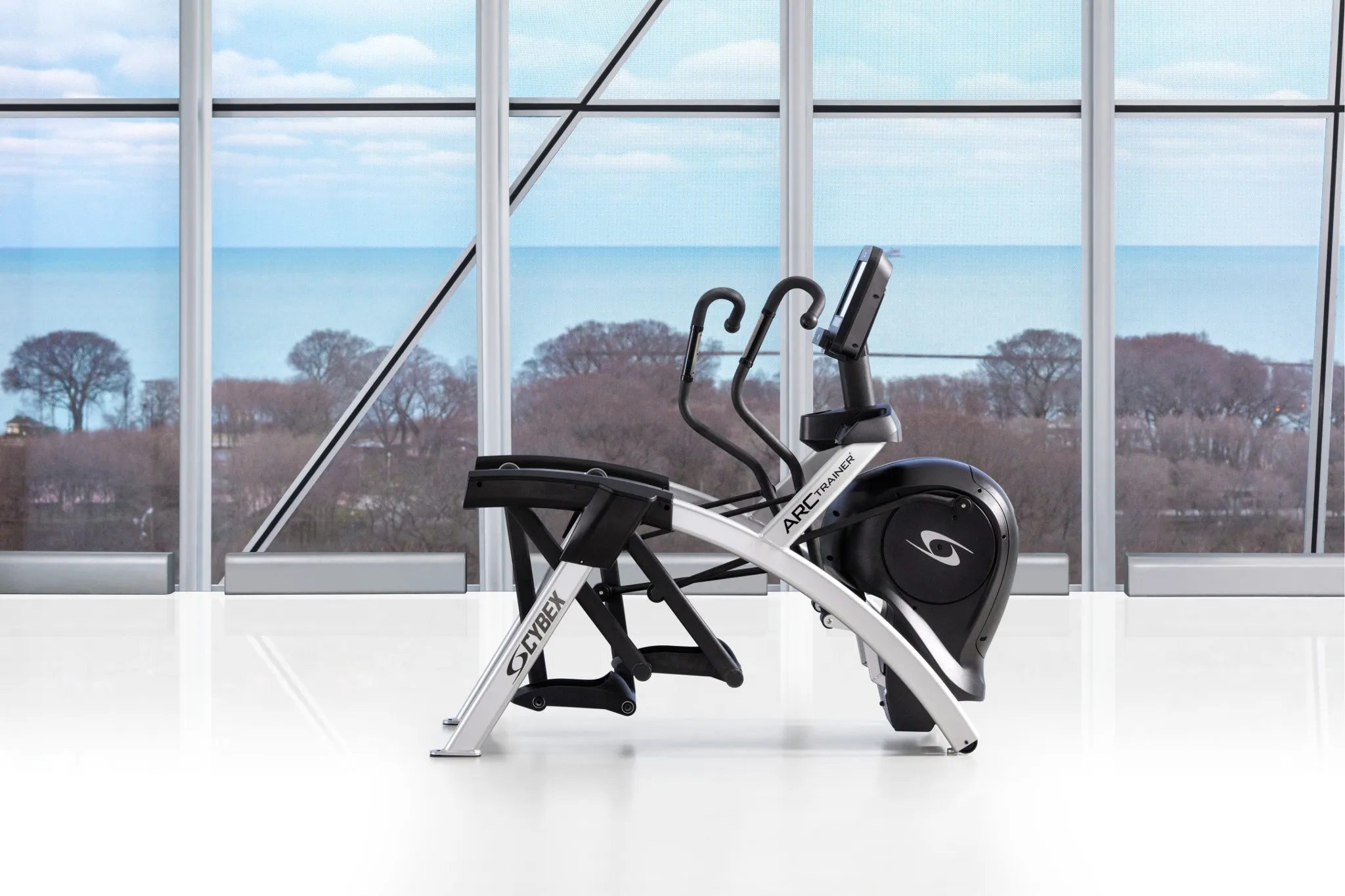 Cybex R-Series Arc Trainer Total Body