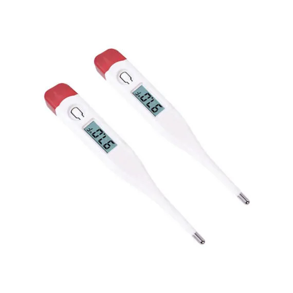 Digital Thermometer