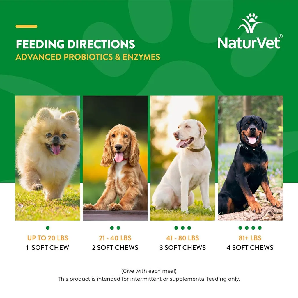 NaturVet Advanced Probiotics & Enzymes Soft Chews Plus Vet Strength PB6 Probiotic for Dogs, 70 count