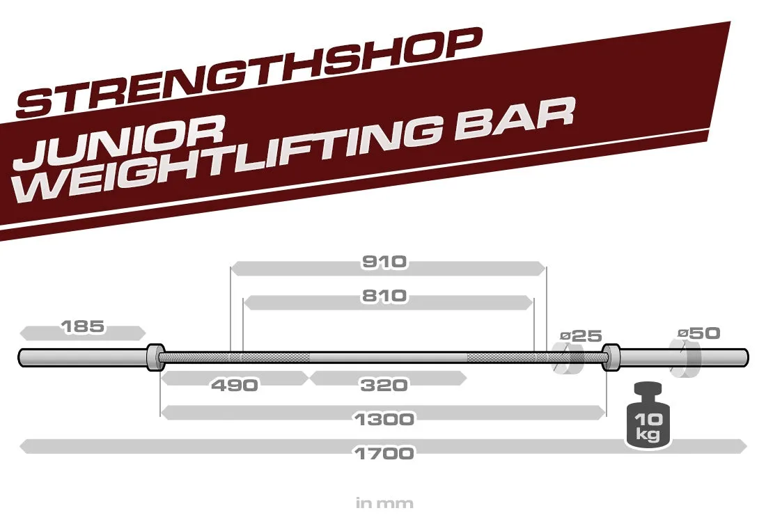 Youth Weightlifting Bar, Spring Steel Shaft, Needle Bearings - 10KG